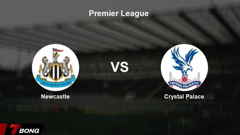 Nhận định Crystal Palace vs Newcastle – Glasner quay cuồng giữa 2 mặt trận